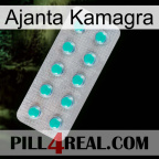 Ajanta Kamagra 28